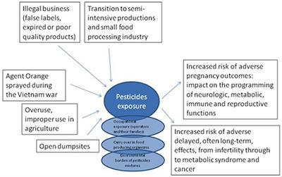 Risk Factors for Non-communicable Diseases in Vietnam: A Focus on Pesticides